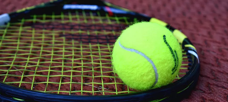 Česká vítězná série ve stínu hokeje. Pomůže k úspěchu na French Open? obrázek