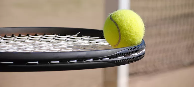 Plíšková s Krejčíkovou jsou ve čtvrtfinále US Open obrázek